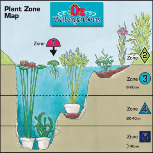 Zone Map - ozwatergardens